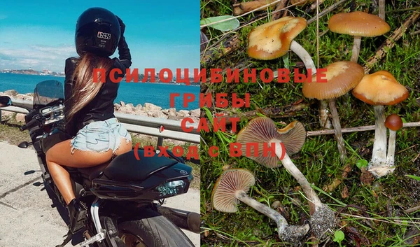 круглые Богородицк