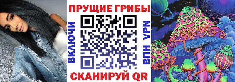 Галлюциногенные грибы мицелий  Завитинск 